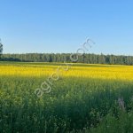 действующее сельхозпредприятие, земельный участок 1624 Га