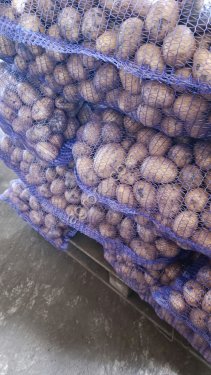 Картофель Гала