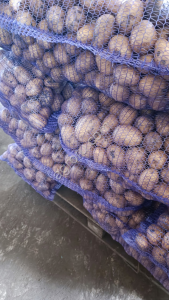 Картофель Гала