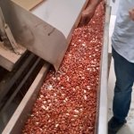 Индийские специи и арахис