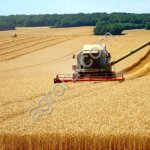 Сельхоз предприятие в Рязанской области