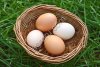 Яйцо куриное