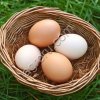 Яйцо куриное