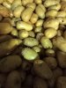 Картофель, некондиционный