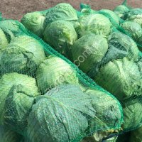 Предпродажная подготовка овощей