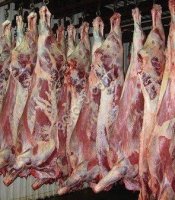 Корова полутуши, 110+, четверти