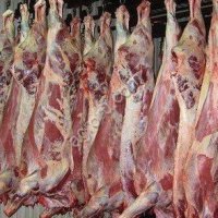 Корова полутуши, 110+, четверти