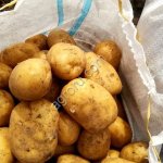 Картофель оптом