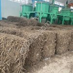 Неочищенные корни солодки