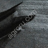 Подсолнечник