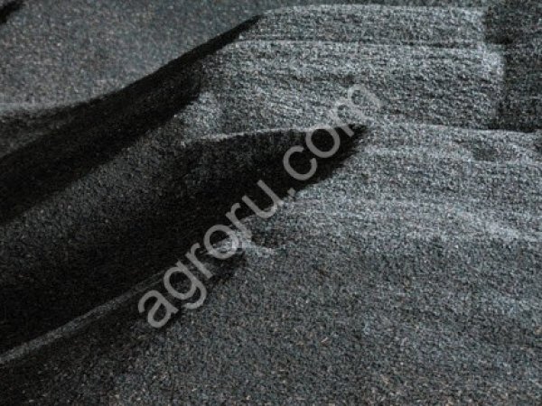 Подсолнечник