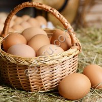 Яйцо куриное пищевое столовое