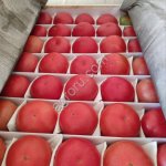 Помидоры Пинк Парадайз