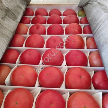 Почем овощи