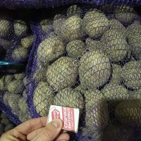 Картофель Гала