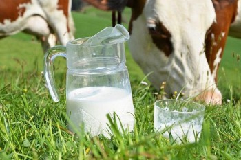 Краткий обзор рынка молока