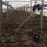 Участок 4 гектара