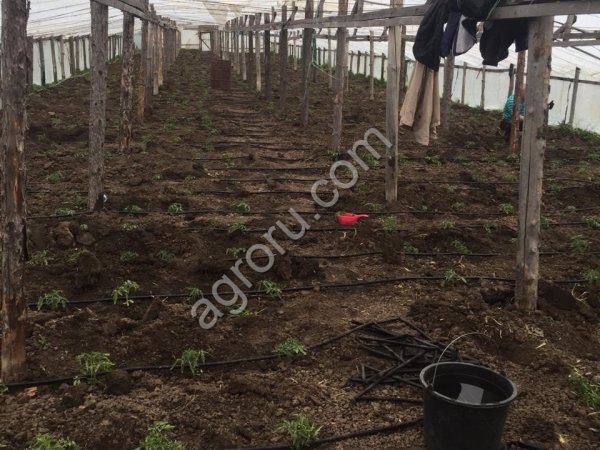 Участок 4 гектара