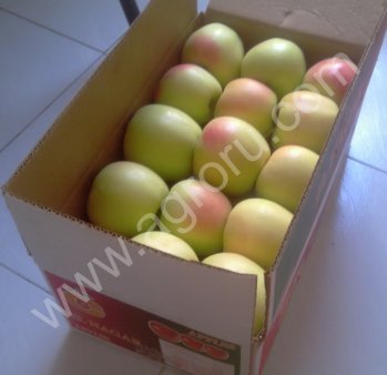 свежие фрукты