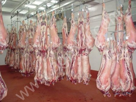 Баранина охлажденная