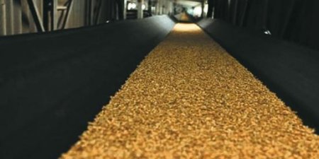 Экспорт российского зерна за июль-август составил около 6,58 млн тонн