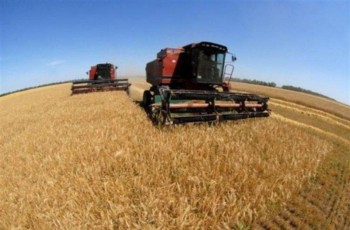В России доля прибыльных сельхозпредприятий увеличилась до 84,8%