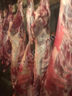 Мясо говядины в полутушах оптом