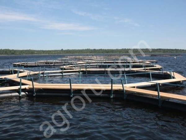 Садки для промышленного выращивания осетровых и пр пород