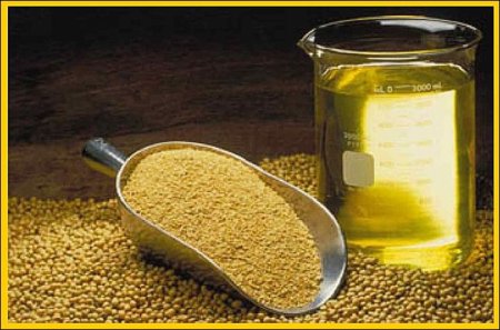 Мировые импортеры соевого масла будут вынуждены переключиться на продукцию из США в июле-декабре
