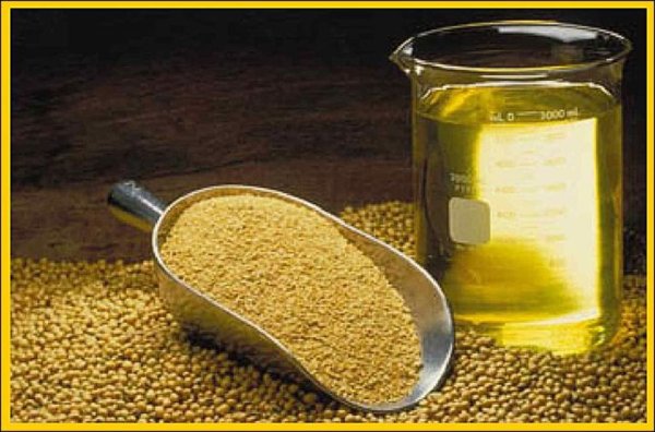 Мировые импортеры соевого масла будут вынуждены переключиться на продукцию из США в июле-декабре