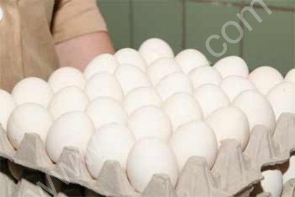 Хлебное место