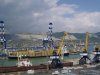 Египет закупил на тендере 180 тыс. тонн российской и украинской пшеницы