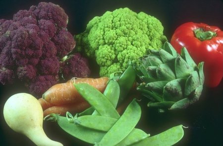 Новая программа расширит сбыт сельхозпроизводителей Карачаево-Черкесии