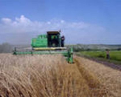 Ульяновская область собрала рекордный урожай