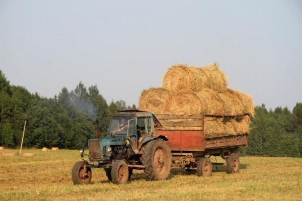 Рустам Минниханов: «Никогда рынок не был так закрыт и предоставлен для нас самих!»