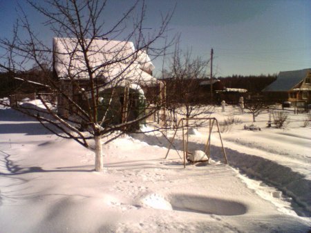 Январский передел