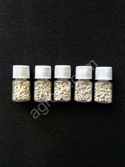 Карпа гипофиз