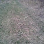 участок 115 соток