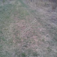 участок