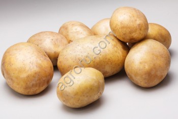 <span>картофель</span> продовольственный