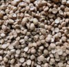 Линия по производству сухих кормов для животных