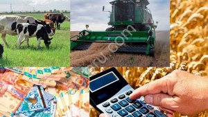 Услуги по продаже/покупке готового бизнеса, с/х предприятий и земельных участков