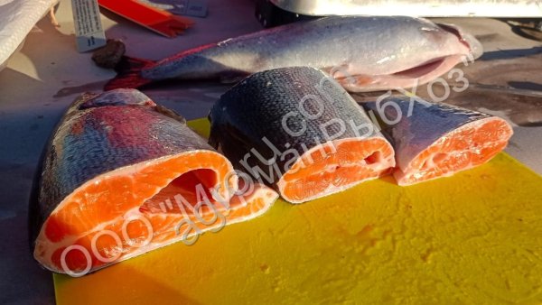 Форель радужная охлажденная