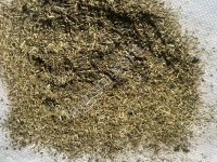 Тысячелистник