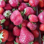 Клубника свежая