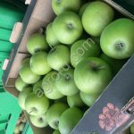 Яблоки Гренни смит