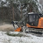 Расчистка 24/7, мульчирование от 1 Га, выкорчевка