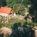 Пчелопакеты Карника на четырех дадановских рамках