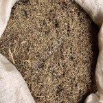 Чабрец трава