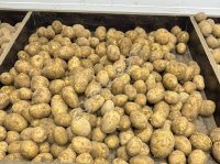 Картофель оптом.